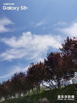 七夕，抬頭看天！