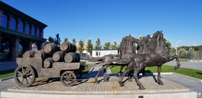 【定格美好】+印象哈爾濱啤酒??