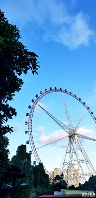 今日上海，不溫不燥~