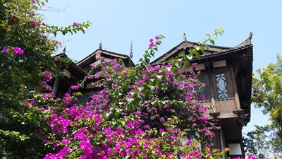 古風(fēng)攝影(by c5010)