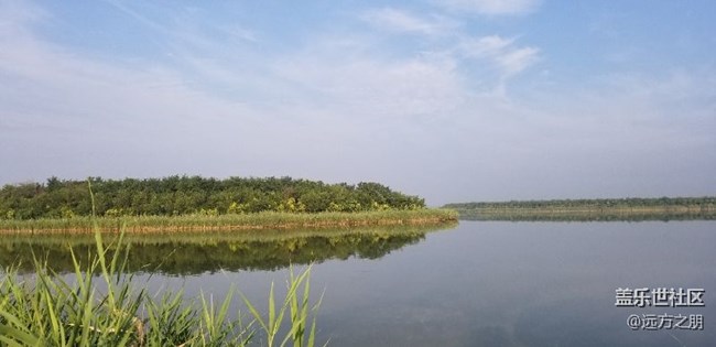 散步時(shí)note8隨拍