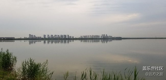 散步時(shí)note8隨拍