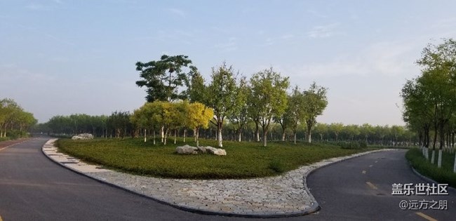 散步時(shí)note8隨拍