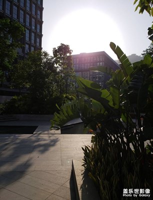 蓋樂(lè)世隨拍