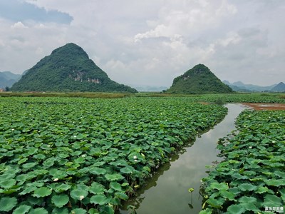 【簡單生活】+湖光山色
