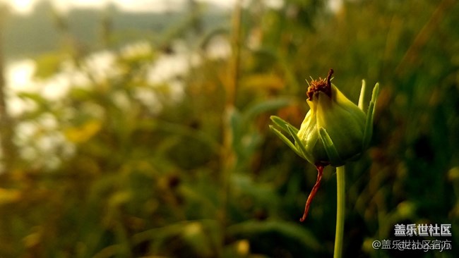 【112期：你最喜歡Galaxy Note9哪個(gè)功能呢？】