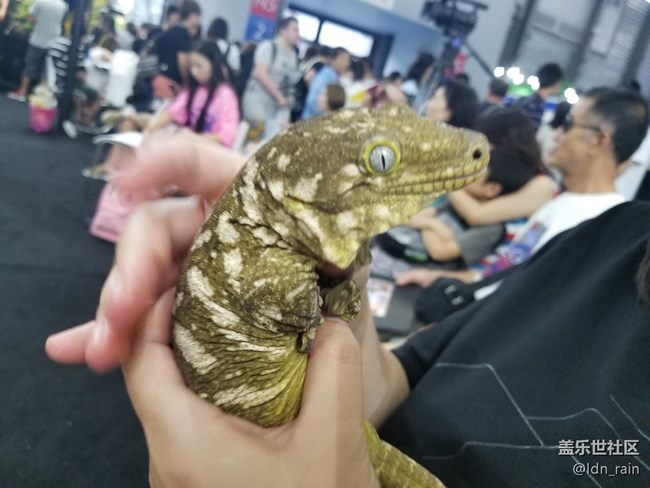 【活動回顧】上海星部落帶你玩轉(zhuǎn)亞洲寵物展