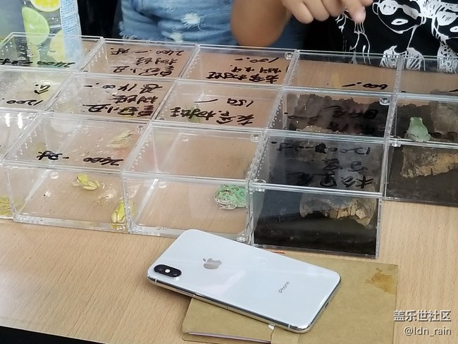 【活動回顧】上海星部落帶你玩轉(zhuǎn)亞洲寵物展