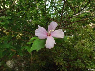 【簡單生活】＋校園的簡單生活
