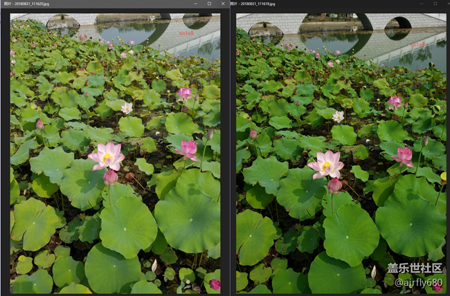 忍不住，做了一個(gè)N8.N9拍照對比評測（白天+夜晚）