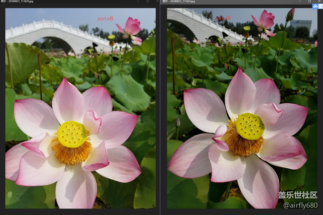 忍不住，做了一個(gè)N8.N9拍照對比評測（白天+夜晚）