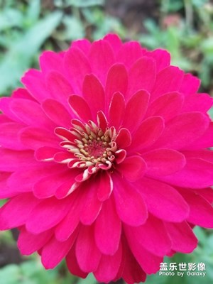 開(kāi)學(xué)了了