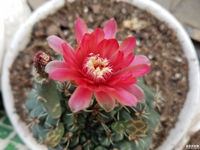 【簡單生活】+九月