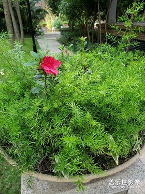 貴在細(xì)節(jié)