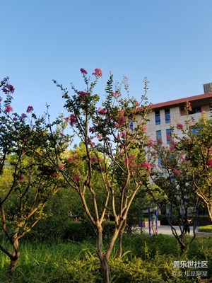 s8拍照依然令人滿意