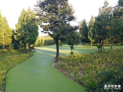 【自然之美】擁抱自然