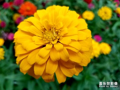 【自然之美】+五顏六色