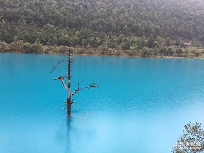 最美瞬間。。。。。。。