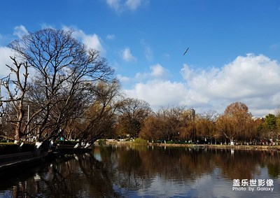 [自然之美]+翠湖風(fēng)光