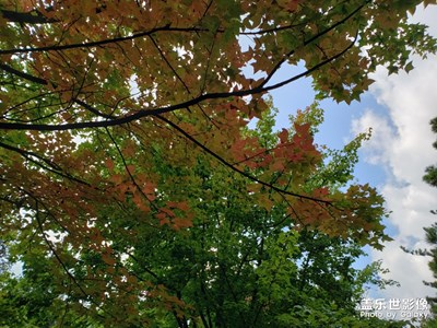 我們這天空也不是那么藍了！