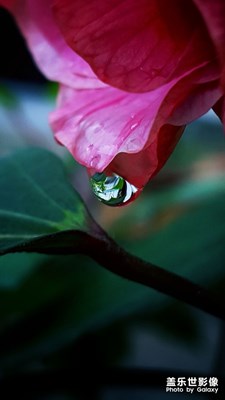 秋雨過(guò)后~紅