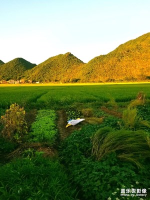 鄉(xiāng)間的田野