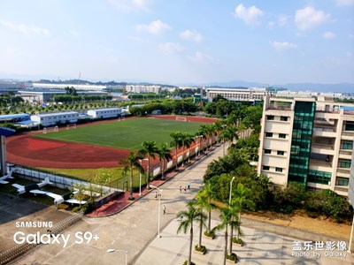 炎炎夏日下的校園