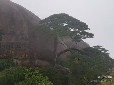 風(fēng)雨中黃山行