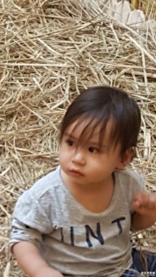 【熱愛生活】+自娛自樂的人們