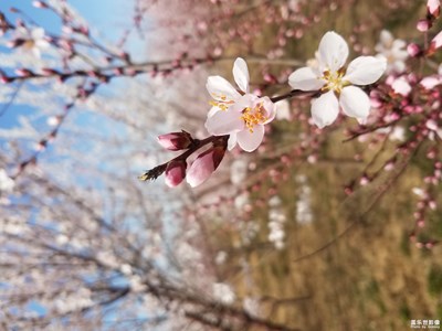 時(shí)隔一年的隨拍