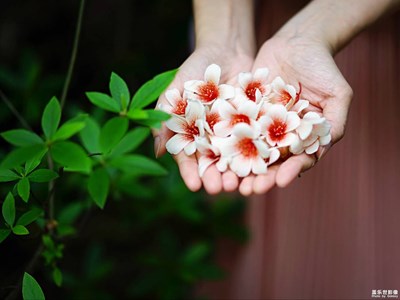 【熱愛生活】+擁抱陽光