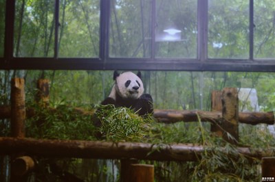【熱愛生活】+動物園