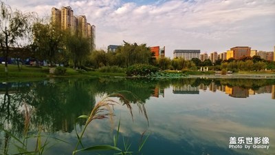 熱愛生活+無憂無慮的日子