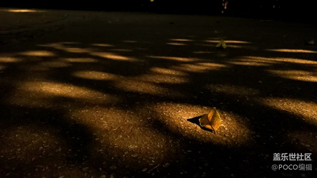 Galaxy Note9雙攝鏡頭下的三色廣州