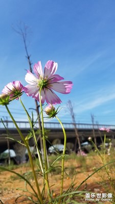 【熱愛(ài)生活】+秋陽(yáng)