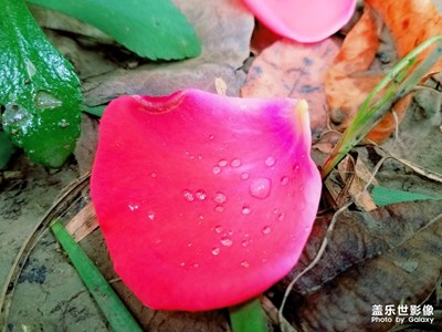 往事如煙，淺笑而安