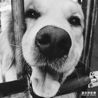 隨手拍，記錄美好的生活