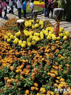 賞菊正是賞菊的好時(shí)節(jié)！