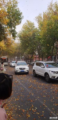 秋風(fēng)掃落葉