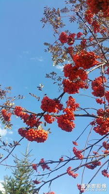 【相機(jī)里的國慶】+哈爾濱鍋盔山