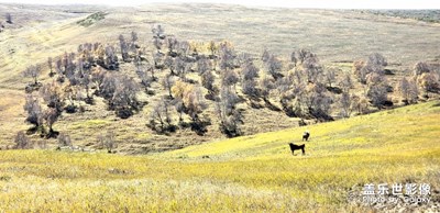【相機(jī)里國(guó)慶】山水之戀