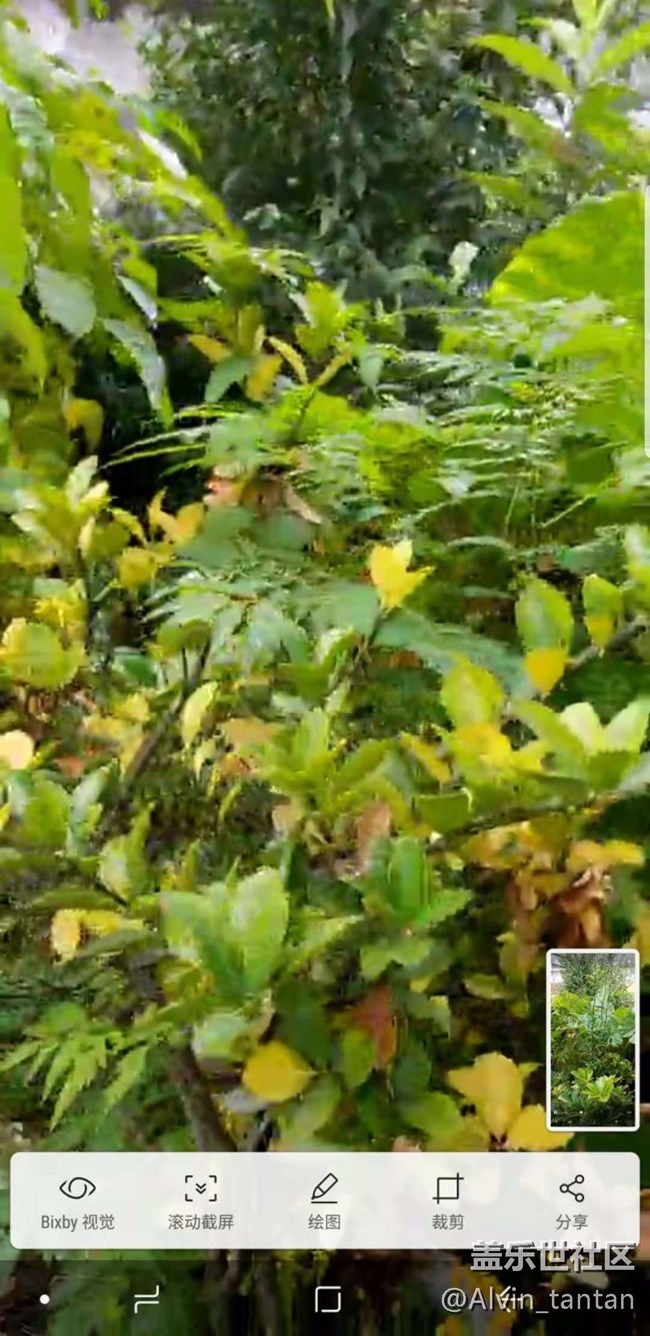 微信小視頻拍照畫質(zhì)很渣  不知各位有沒(méi)有這種情況