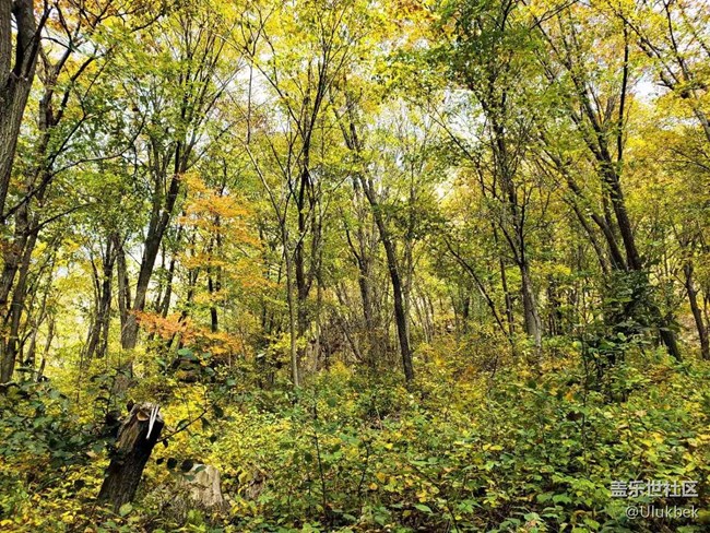 同城活動(dòng)回顧