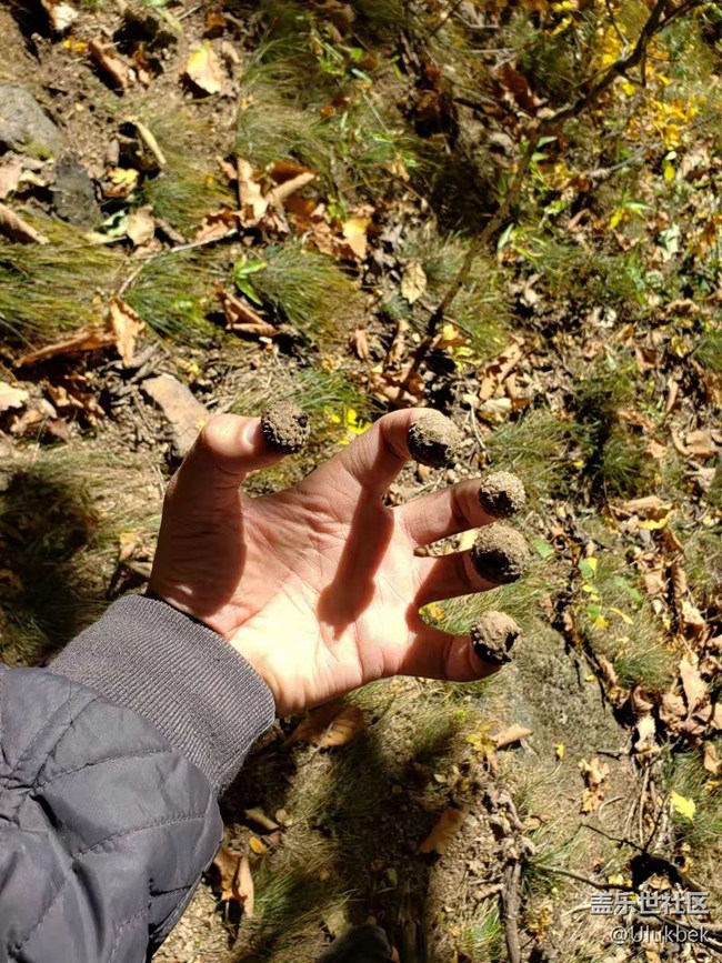 同城活動(dòng)回顧