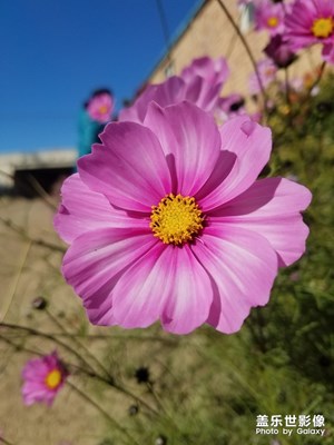 試試是否可以發(fā)。