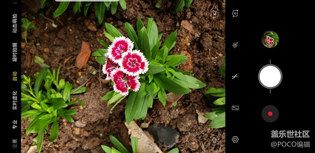 跟Galaxy Note9一起玩轉(zhuǎn)色彩，讓你的照片更出彩