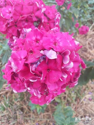 這一瞬間，究竟有多美？