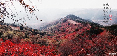編輯一組懷 舊的照片，重陽節(jié)送給天下所有的老人