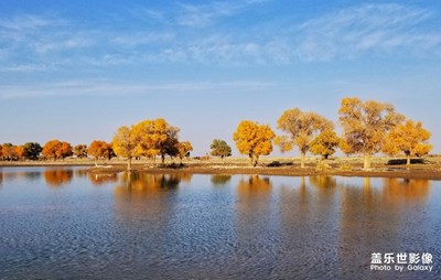 千年之約，胡*