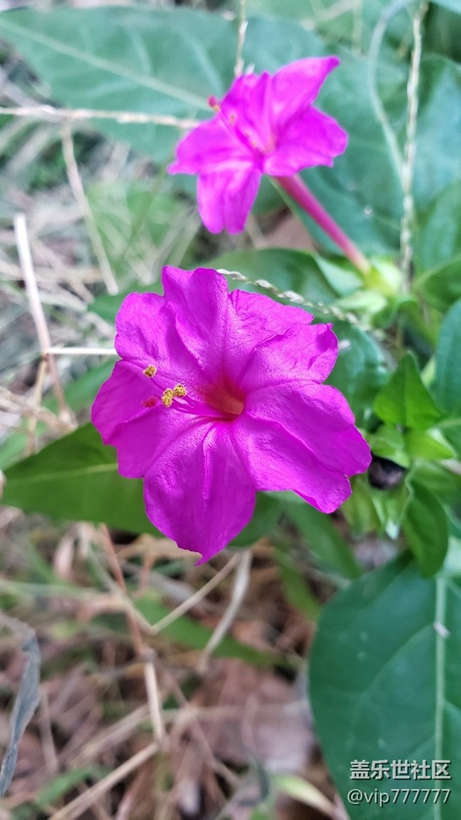 note9新機(jī)到手